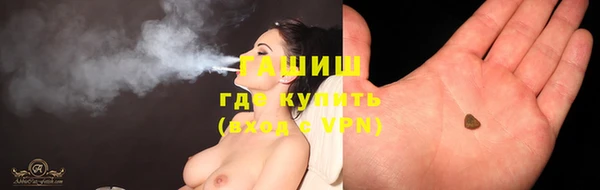 спиды Богородицк