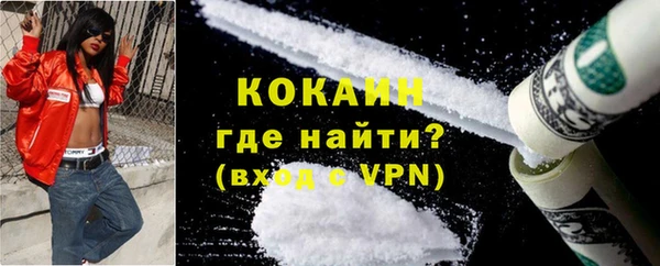 спиды Богородицк