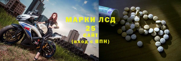 таблы Бородино