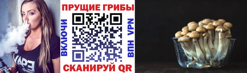 цены наркотик  Дюртюли  Галлюциногенные грибы мухоморы 
